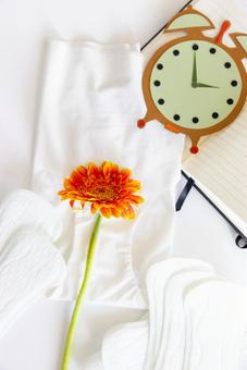 ショーツと生理用ナプキンと紙でできた時計と花 生理,月経,生理用品の写真素材