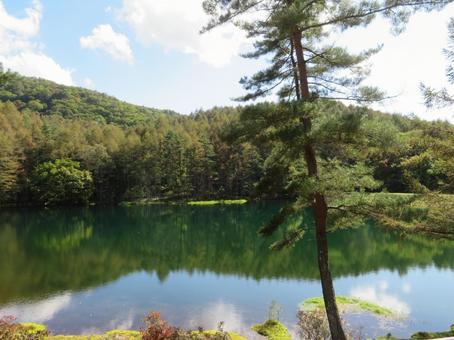 長野県茅野市奥蓼科の観光地の御射鹿池 長野県茅野市奥蓼科の観光地の御射鹿池 御射鹿池,長野県,茅野市の写真素材