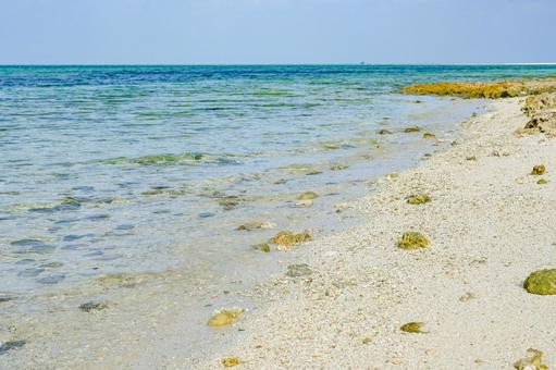 Photo, okinawa, taketomijima, sea, 