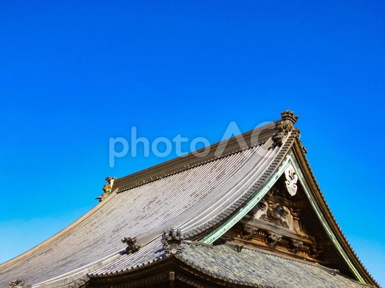 青空と岡山西大寺本堂の屋根 西大寺,本堂,屋根の写真素材