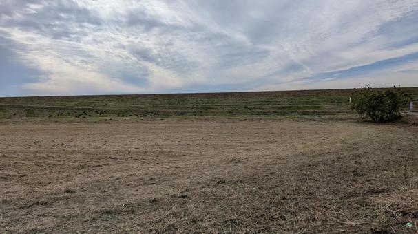 堤防 河川敷の風景の写真