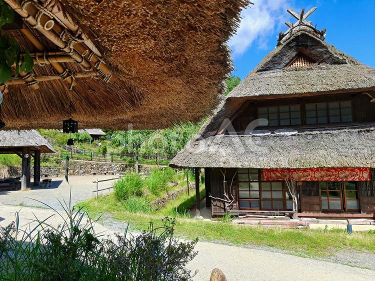 涼風が通り抜ける家 西湖いやしの里根場,山梨,茅葺屋根の写真素材