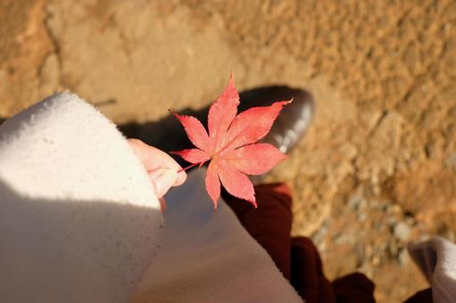 紅葉を掴む 紅葉を掴むの写真