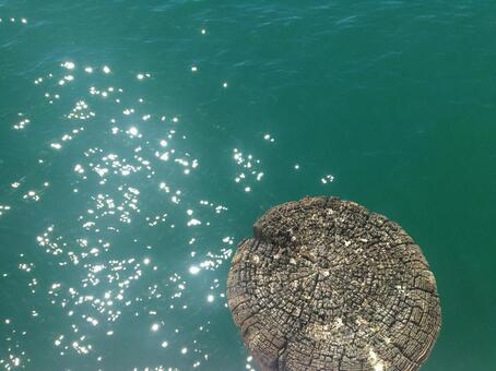 海 海の写真