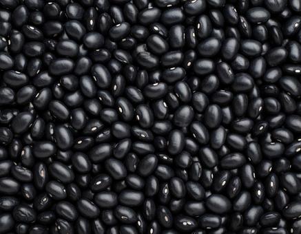 黒豆の整然とした配置 黒豆の整然とした配置の写真