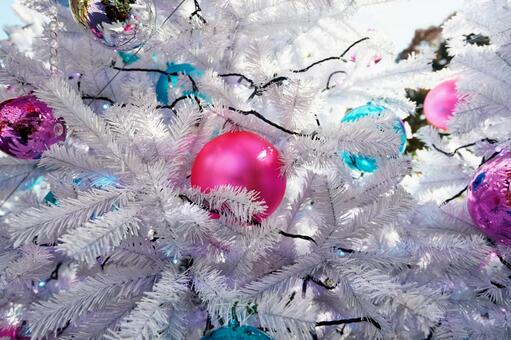 クリスマス5 クリスマス,ツリー,モミの写真素材