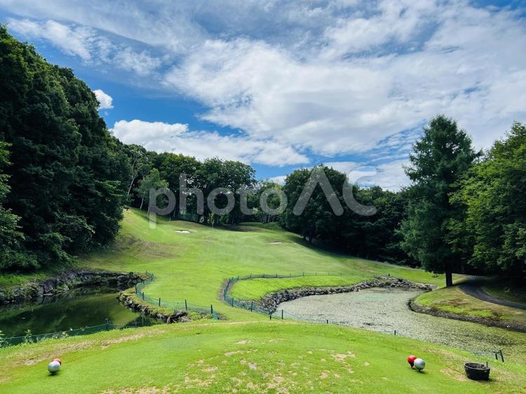 緑豊かなゴルフコースと池の風景 ゴルフ,ゴルフ場,水上高原ゴルフコースの写真素材