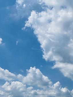 夏の青空 夏の青空の写真
