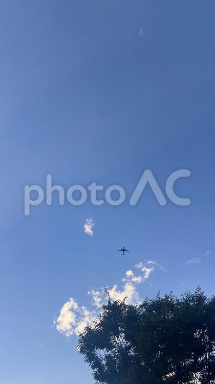 飛行機 空,青空,雲の写真素材