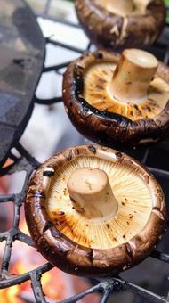 秋の味覚 椎茸の炭火焼き 秋の味覚 椎茸の炭火焼きの写真