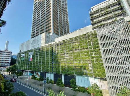 武蔵小杉東急スクエアの壁面緑化 武蔵小杉東急スクエアの壁面緑化 武蔵小杉,東急スクエア,壁面緑化の写真素材