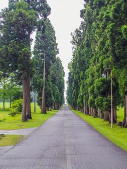 【北海道】北斗市・トラピスト大修道院 【北海道】北斗市・トラピスト大修道院 トラピスト大修道院,北斗市,キリスト教の写真素材