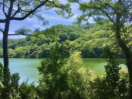 木々と貯水池 貯水池,ダム湖,池の写真素材