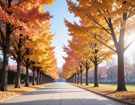紅葉した木が並ぶ公園の道 紅葉した木が並ぶ公園の道の写真