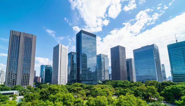 都市背景 手前に広がる緑の森 都市背景 手前に広がる緑の森の写真