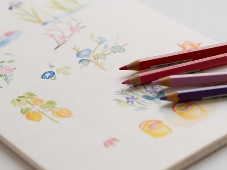 水彩色鉛筆で描いたイラスト イラスト,水彩色鉛筆,画用紙の写真素材