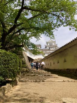 姫路城 姫路城,国宝,天守閣の写真素材