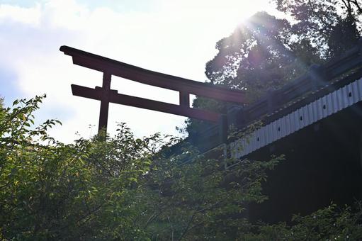 Photo, torii, bridge, minami satsuma, 