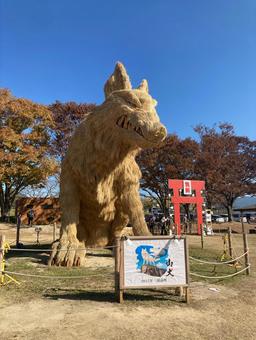 安の里公園・わらかがし 福岡県朝倉郡,わら,秋の写真素材