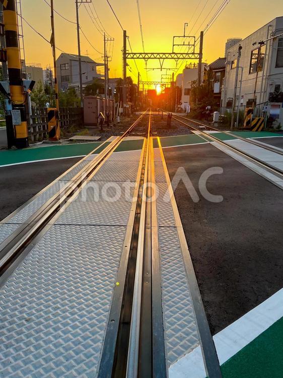夕暮れ時の線路 線路,夕陽,夕暮れの写真素材
