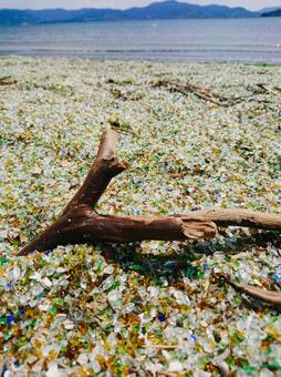 ガラスの砂浜と流木 ガラスの砂浜と流木 ガラス,砂浜,カラフルの写真素材