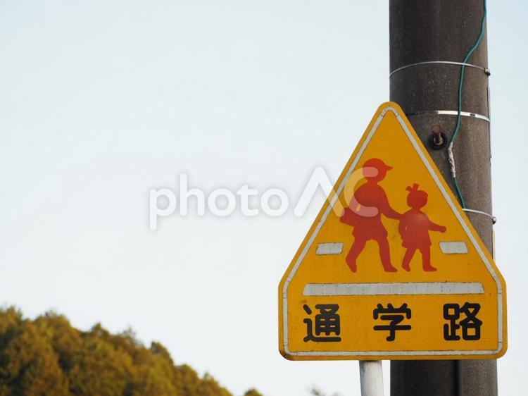 通学路の標識 通学路,標識,看板の写真素材