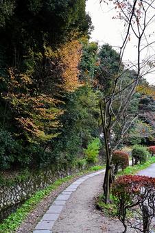 秋の哲学の道 哲学の道,コピースペース,京都の写真素材