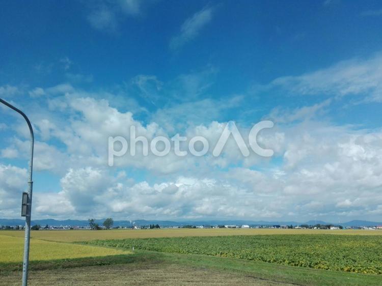 9月の北海道 北海道,海,夏の写真素材