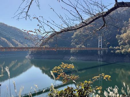 九頭竜川夢のかけはし　箱ヶ瀬橋　福井県秋 土木遺産,建造物,夢のかけはしの写真素材