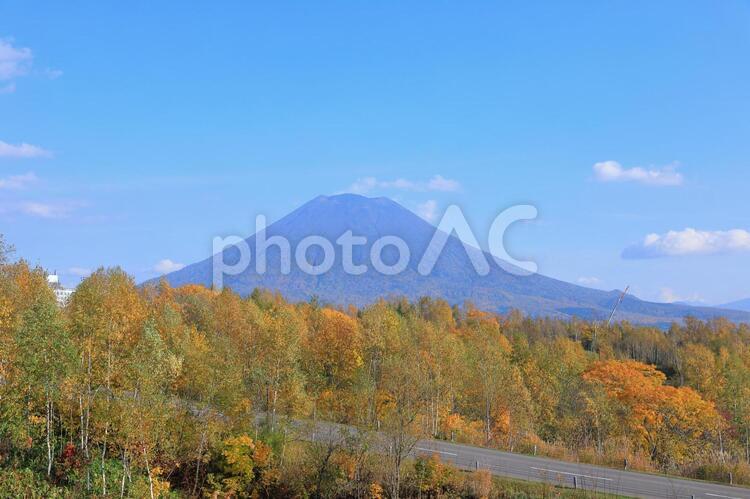 紅葉と羊蹄山(ニセコ・東山スキー場付近) 羊蹄山,秋,紅葉の写真素材