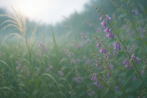 白露_GS000004の写真