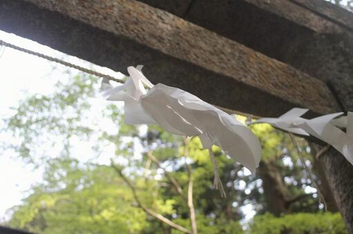 神々の入り口 鳥居,紙垂,景色の写真素材
