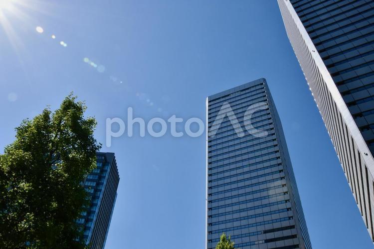 太陽と空と緑とオフィスビルが織りなす光景 オフィスビル,オフィス,ビジネス街の写真素材