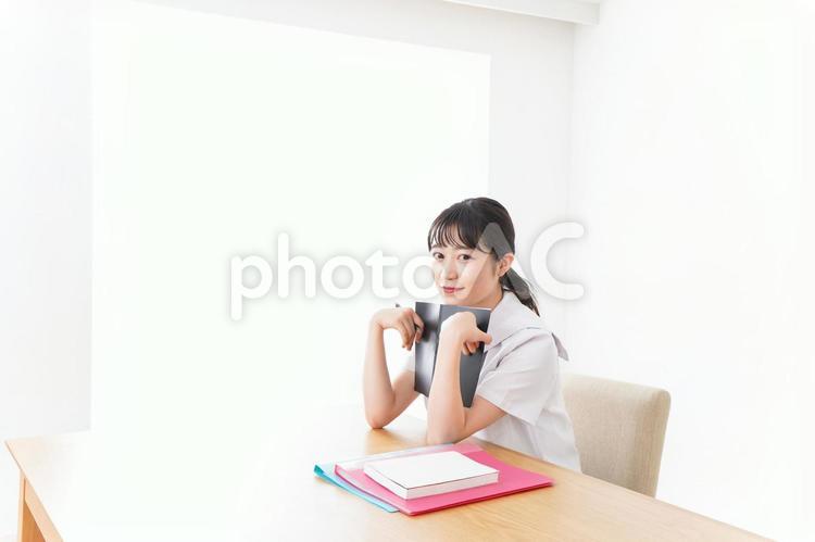 自習をする学生 自習,宿題,課題の写真素材