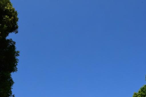 照片, 天空, 自然, 晴天, 