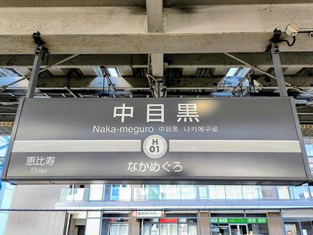 東京メトロ日比谷線、中目黒駅、駅名板 東京メトロ日比谷線、中目黒駅、駅名板 東京メトロ,日比谷線,中目黒駅の写真素材