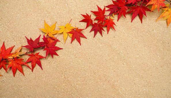 コルクボード隅に紅葉背景 コルクボード隅に紅葉背景の写真
