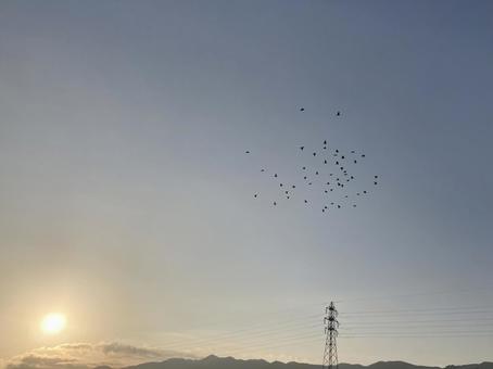 朝日と飛び立つ鳥たち 朝日と飛び立つ鳥たちの写真