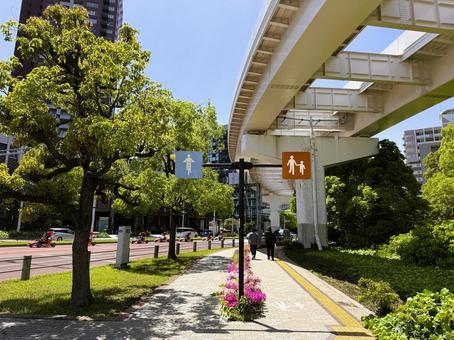 2025年春 昼間の東京江東区の風景 2025年春 昼間の東京江東区の風景 ベイエリア,ビル群,台場エリアの写真素材