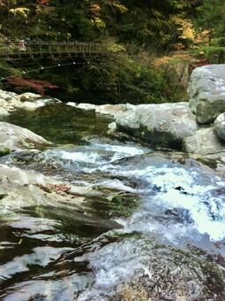 十津川村の吊り橋と川 吊り橋,川,十津川村の写真素材