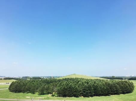 青空の下の緑豊かな丘陵地帯 青空の下の緑豊かな丘陵地帯の写真