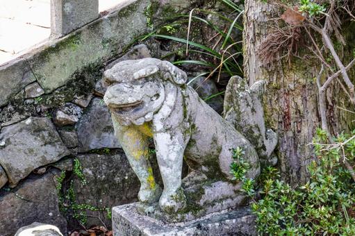 諏訪神社 トゲ抜き狛犬 諏訪神社 トゲ抜き狛犬 諏訪神社,お諏訪さん,トゲ抜き狛犬の写真素材