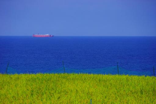 日本海 青空 稲穂 貨物船 日本海 青空 稲穂 貨物船の写真