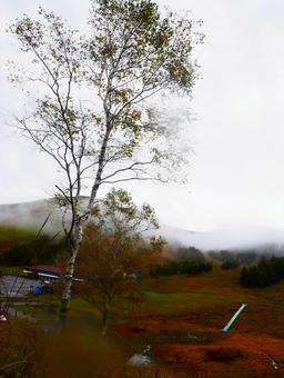 車山高原 車山高原 車山高原,長野県,国内旅行の写真素材