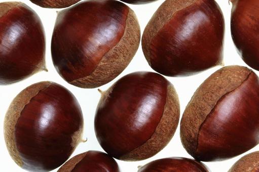 栗　5 栗,秋,fruitsの写真素材