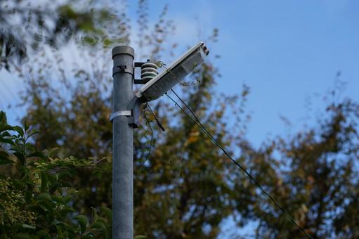街灯 電灯,街灯,木の枝の写真素材