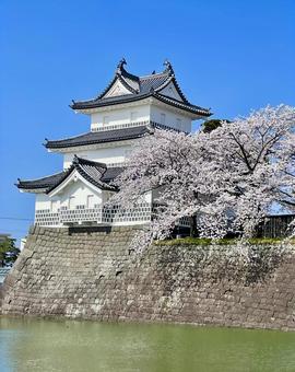 Photo, shinichi metropolitan city, japanese castle, hundred cities, 