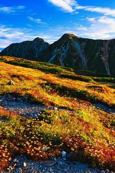 紅葉の北アルプスの立山連峰の五色ヶ原 紅葉の北アルプスの立山連峰の五色ヶ原 紅葉,北アルプス,立山連峰の写真素材
