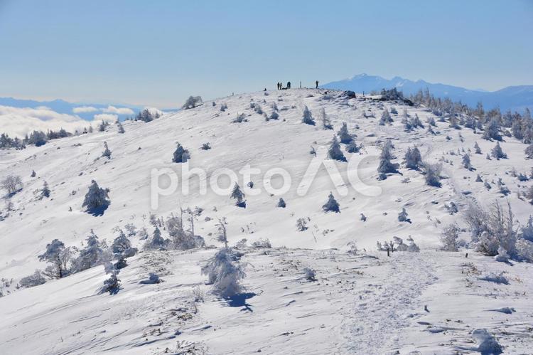 冬の湯ノ丸山の南峰 湯ノ丸山,山頂,頂上の写真素材