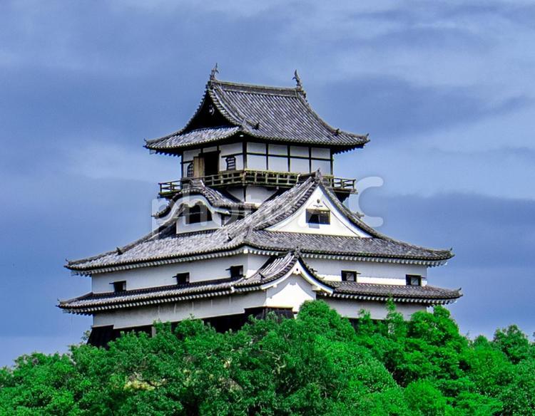 国宝犬山城 城,犬山城,castleの写真素材